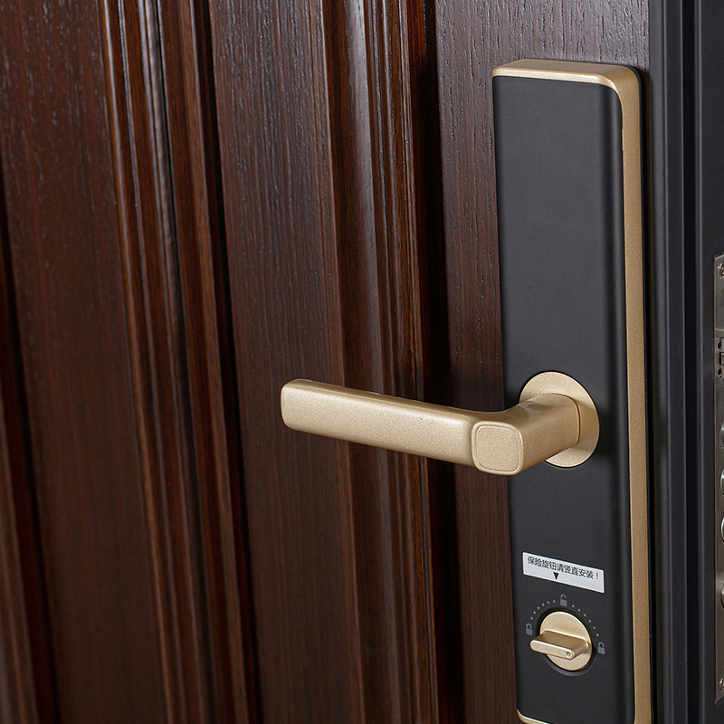 80 lace frame-pro steel-wood sixty-six (buckle) wood-open steel-wood armored entry door
