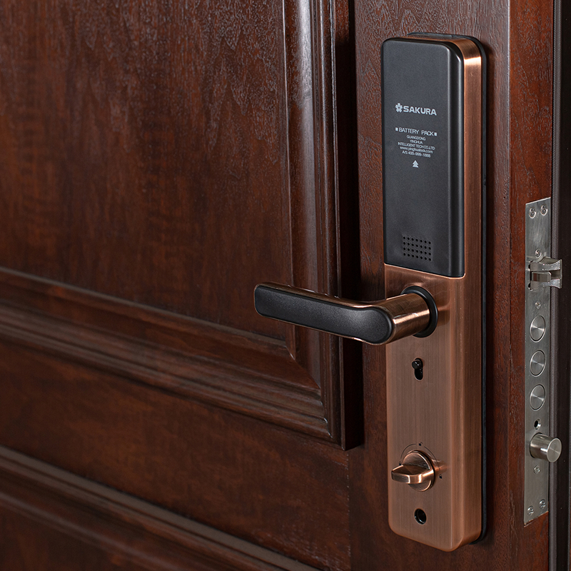 70 lace frame-pro steel-wood two-sided (buckle) wood-open steel-wood armored entry door